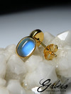 Moonstone gold studs with gem report MSU