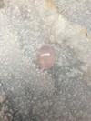 Rose quartz cabochon 8.4 ct 