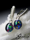 Triplet Opal Silver Earrings
