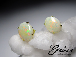 Opal gold Earrings