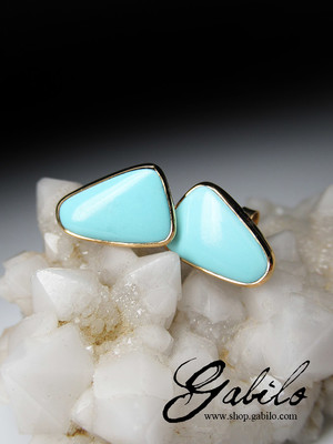 Turquoise gold earrings