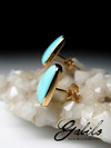 Turquoise gold earrings