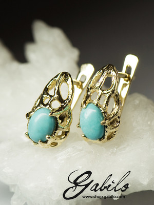 Turquoise Gold Earrings with Jewellery Report MSU