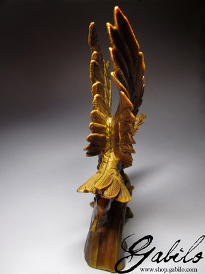 Eagle from the tiger's eye