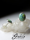 Earrings with turquoise Tibet