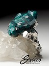 Ring with crystals of dioptase on the rock