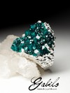 Large silver ring with dioptase
