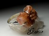 Silver ring with aragonite