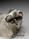 Silver ring with staurolite