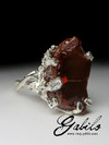 Chocolate Opal Silver Ring