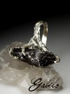 Silver ring with a meteorite