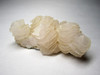 Crystal calcite shell