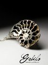 Large pendant with pyrithized ammonite