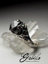 Silver Ring with Magnetite