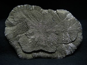 Pyrite concretion