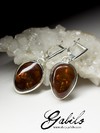 Earrings with fire agate