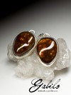 Earrings with fire agate