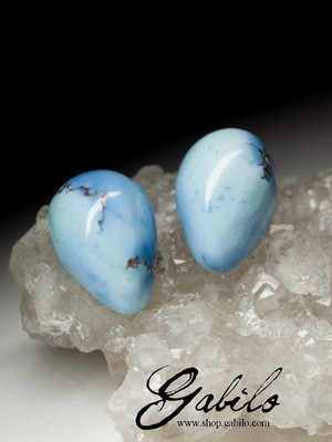 Turquoise couple for earrings