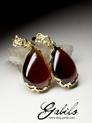 Garnet Gold Earrings 