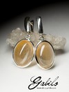 Rutilated quartz silver earrings 