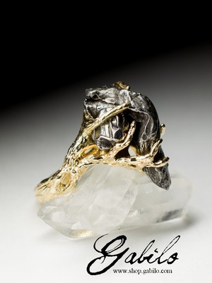 Meteorite Gold Ring