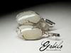 Earrings with white jade in silver