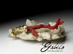 On order: gold pendant with red coral