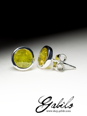 Silver earrings pouches with grossular